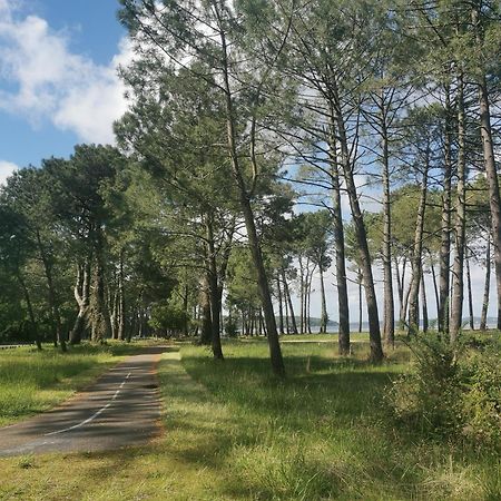 Appartements Au Coeur Du Golf, Proche Du Lac Et Velodyssee Biscarrosse Bagian luar foto