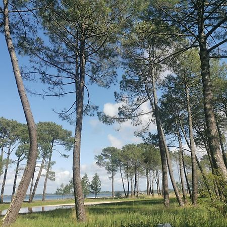 Appartements Au Coeur Du Golf, Proche Du Lac Et Velodyssee Biscarrosse Bagian luar foto