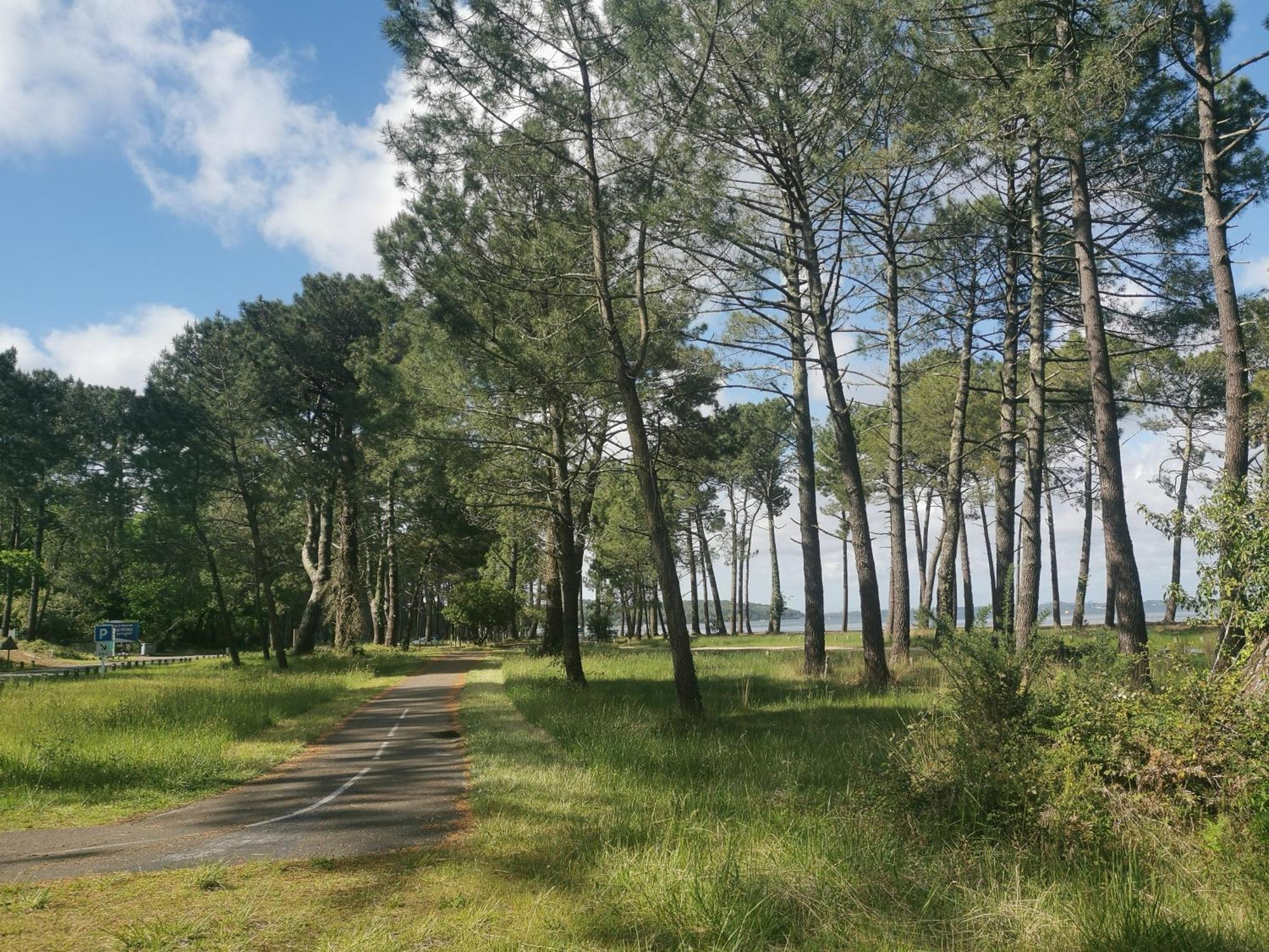 Appartements Au Coeur Du Golf, Proche Du Lac Et Velodyssee Biscarrosse Bagian luar foto